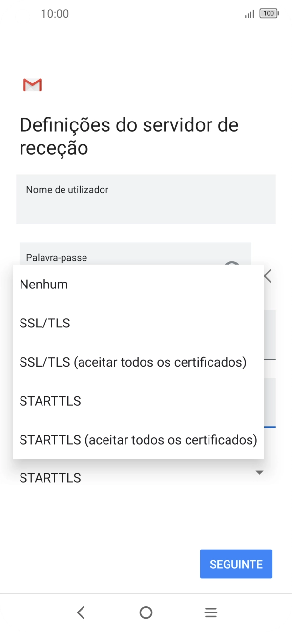 Prima SSL/TLS para ativar a função.