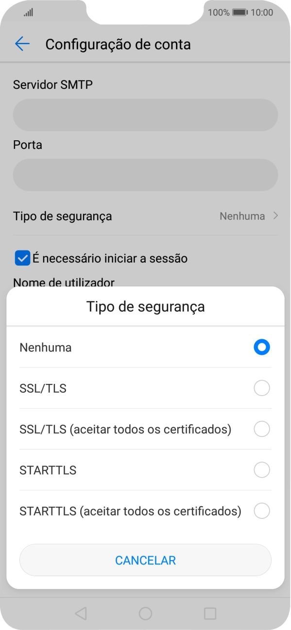 Prima SSL/TLS para ativar a função.