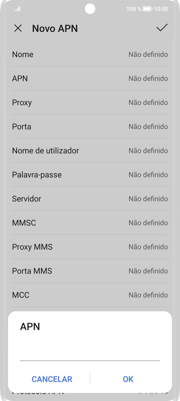 Introduza net2.vodafone.pt e prima OK.