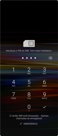 Se solicitado, deve introduzir o código PIN e premir o ícone para aceitar.