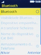 Escolha Bluetooth para ativar a função.