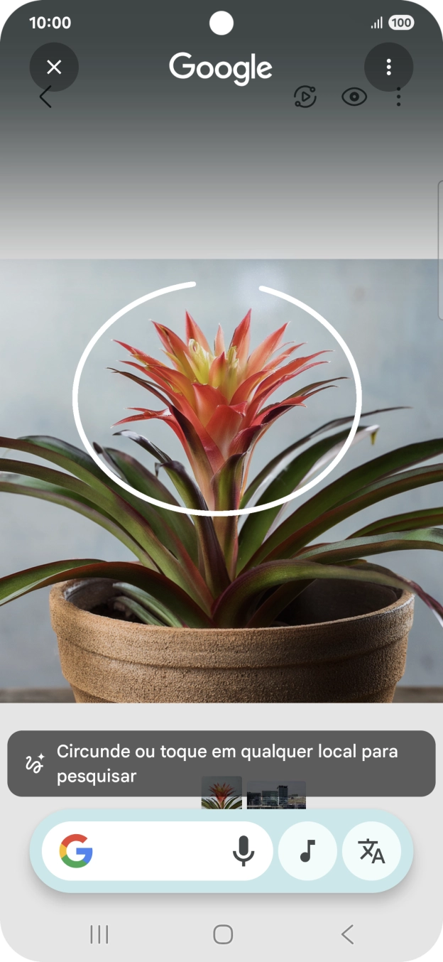 Desenhe um círculo em volta do objeto pretendido na imagem e utilize os resultados da pesquisa.