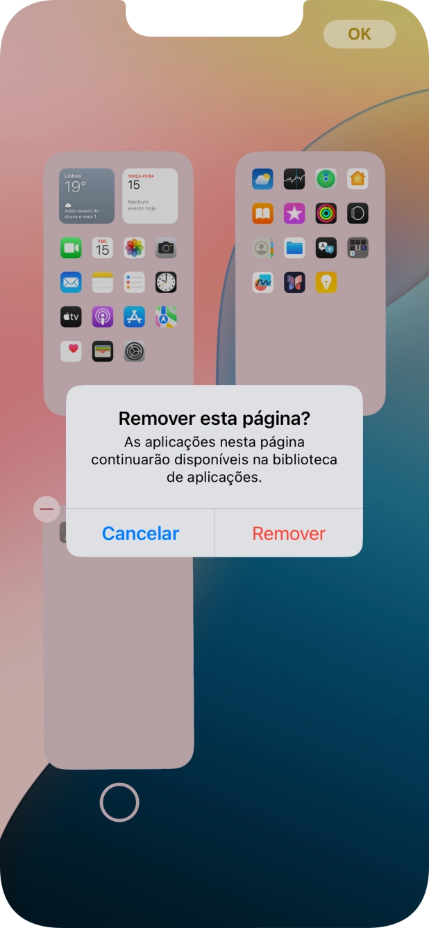 Prima Remover.