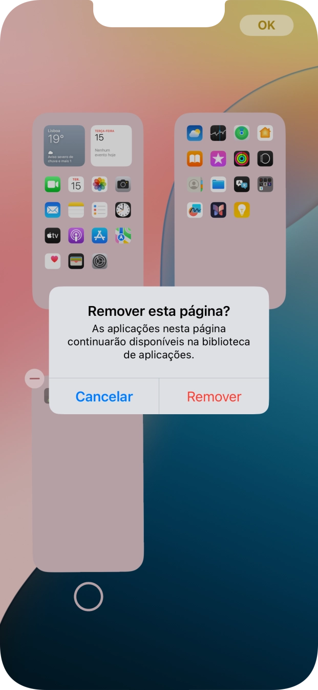 Prima Remover.