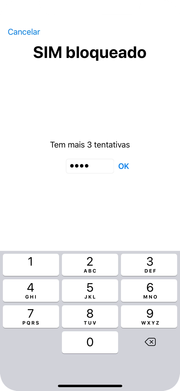Se o cartão SIM estiver bloqueado, deve introduzir o código PIN e premir OK.