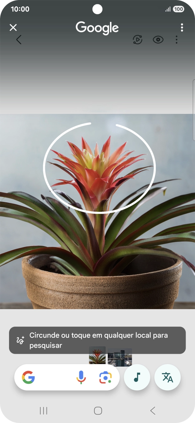 Desenhe um círculo em volta do objeto pretendido na imagem e utilize os resultados da pesquisa.