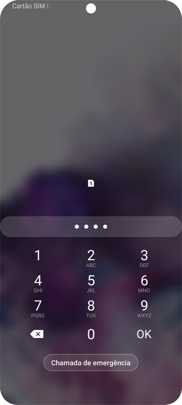 Se solicitado, deve introduzir o código PIN e premir OK.