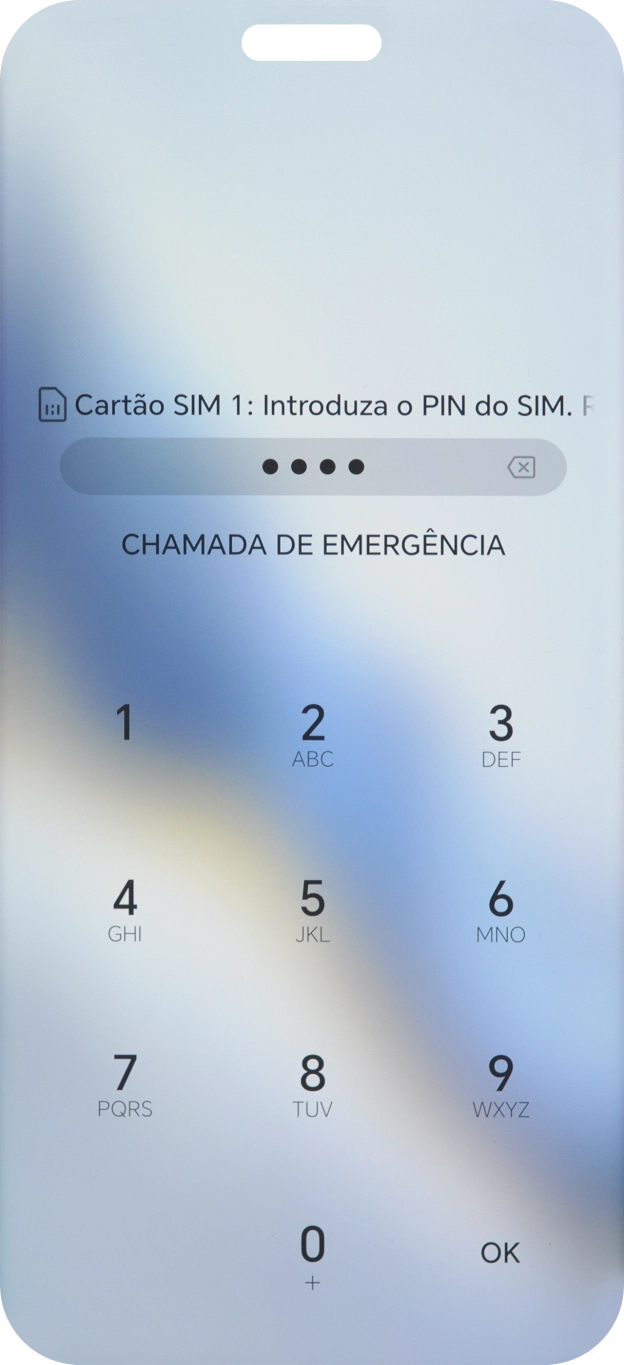 Se solicitado, deve introduzir o código PIN e premir OK.