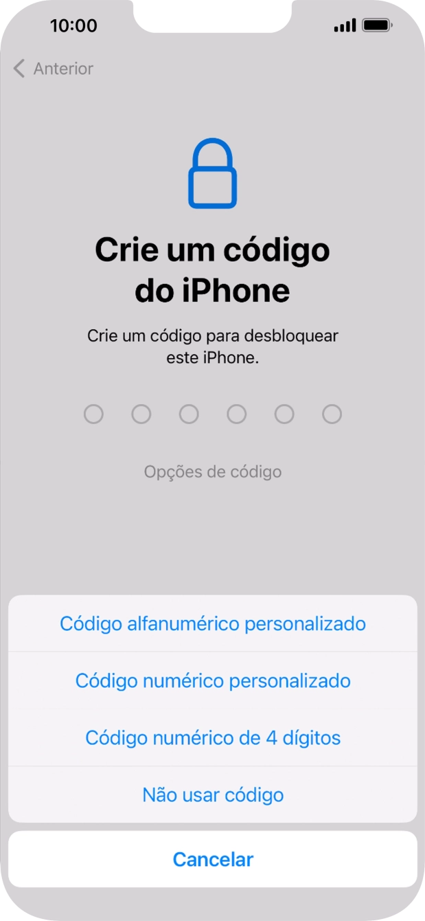 Siga as indicações no ecrã para ativar a utilização do código de bloqueio do telefone ou prima Não usar código.