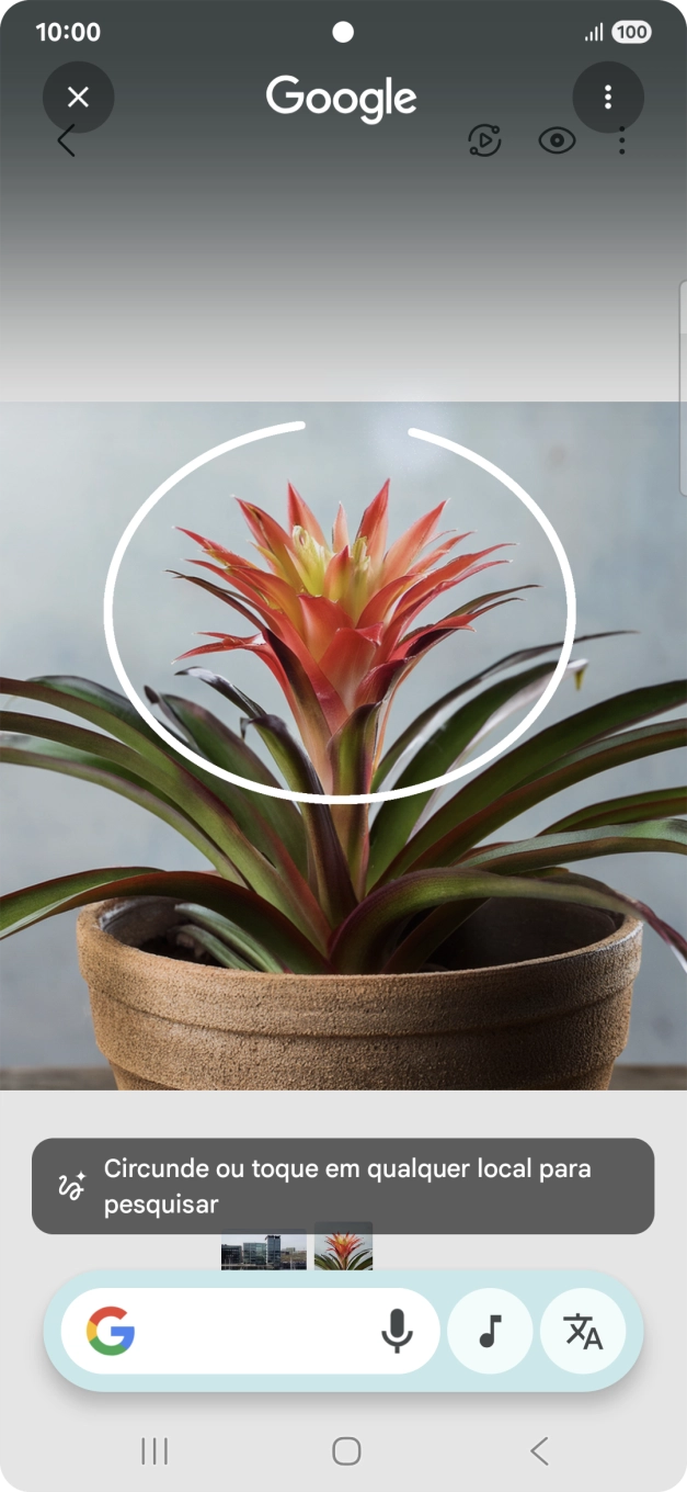 Desenhe um círculo em volta do objeto pretendido na imagem e utilize os resultados da pesquisa.