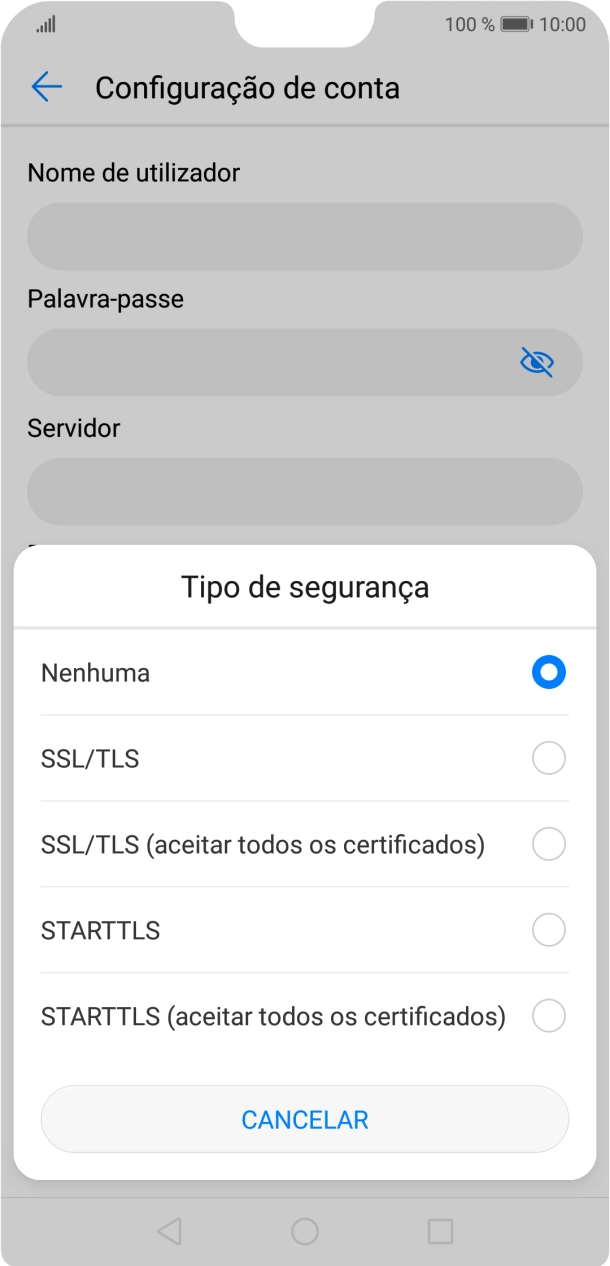 Prima SSL/TLS para ativar a função.