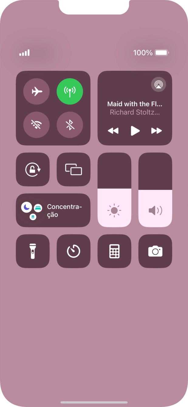 Prima o ícone de modo de voo para ativar ou desativar a função.