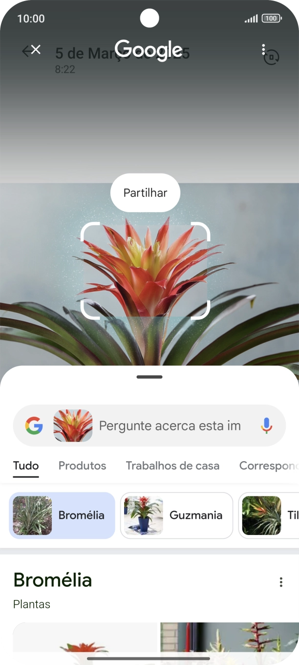 Siga as indicações no ecrã  para utilizar os resultados da pesquisa.