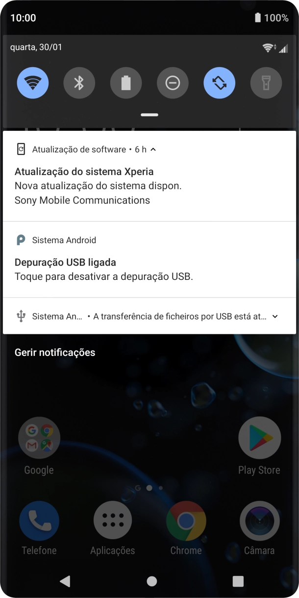 Prima o ícone de ligações.
