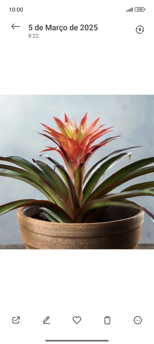 Dirija-se à imagem pretendida.