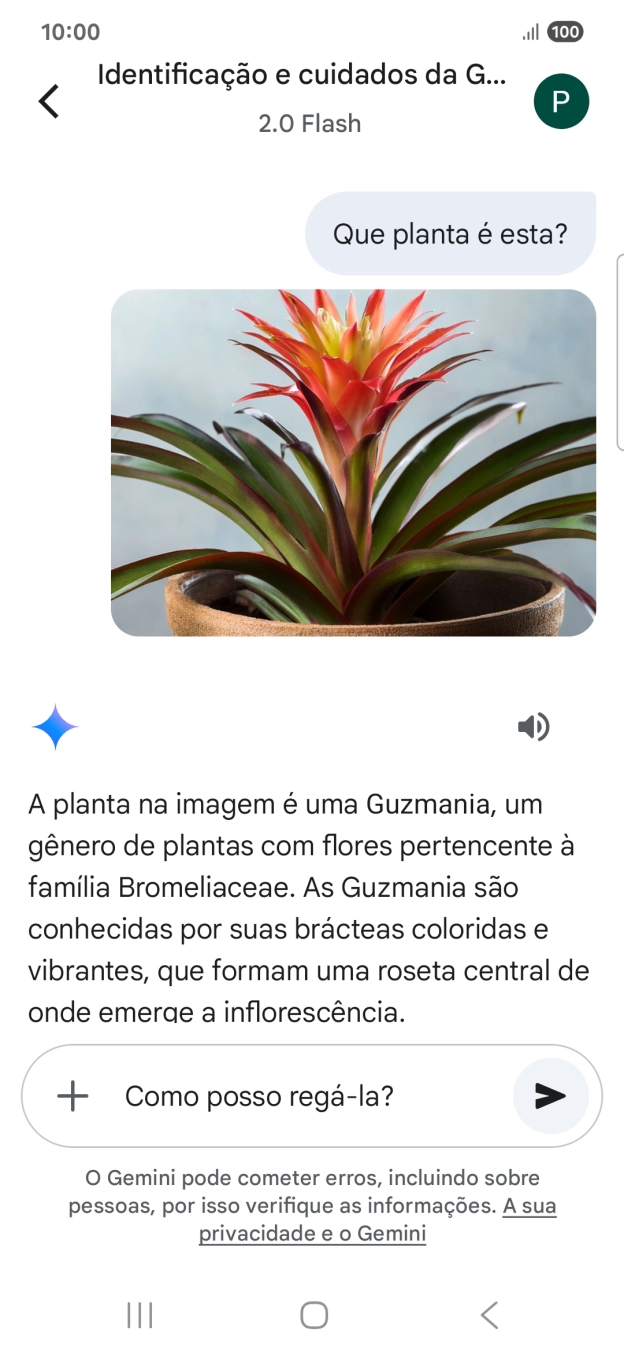 Siga as indicações no ecrã para escrever ou ditar perguntas, para continuar a conversa.