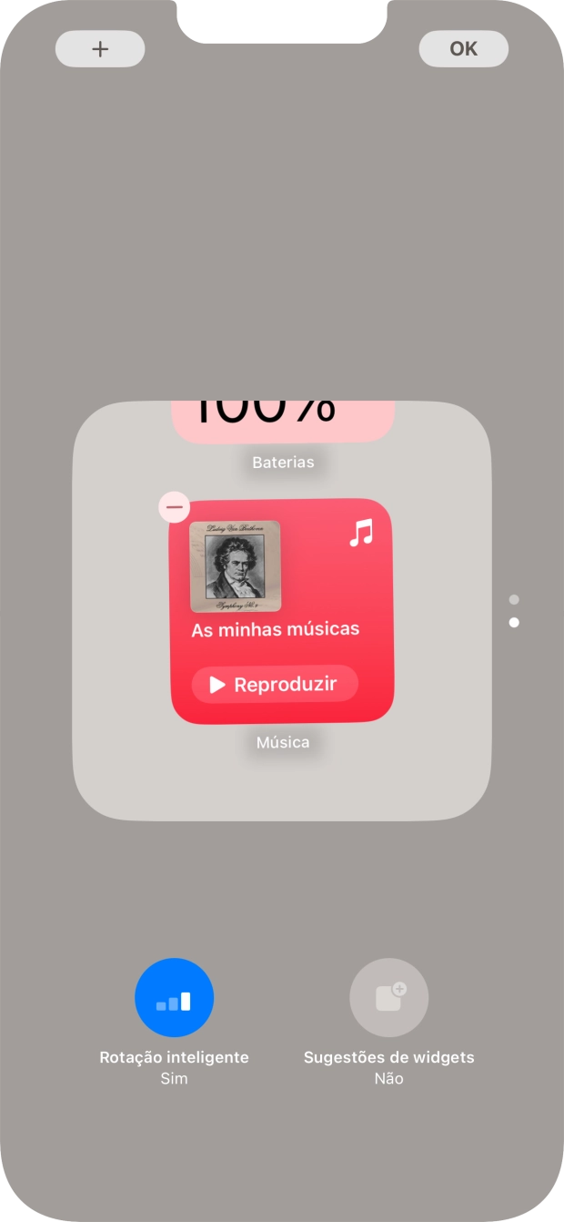 Prima Rotação inteligente para ativar ou desativar a função.