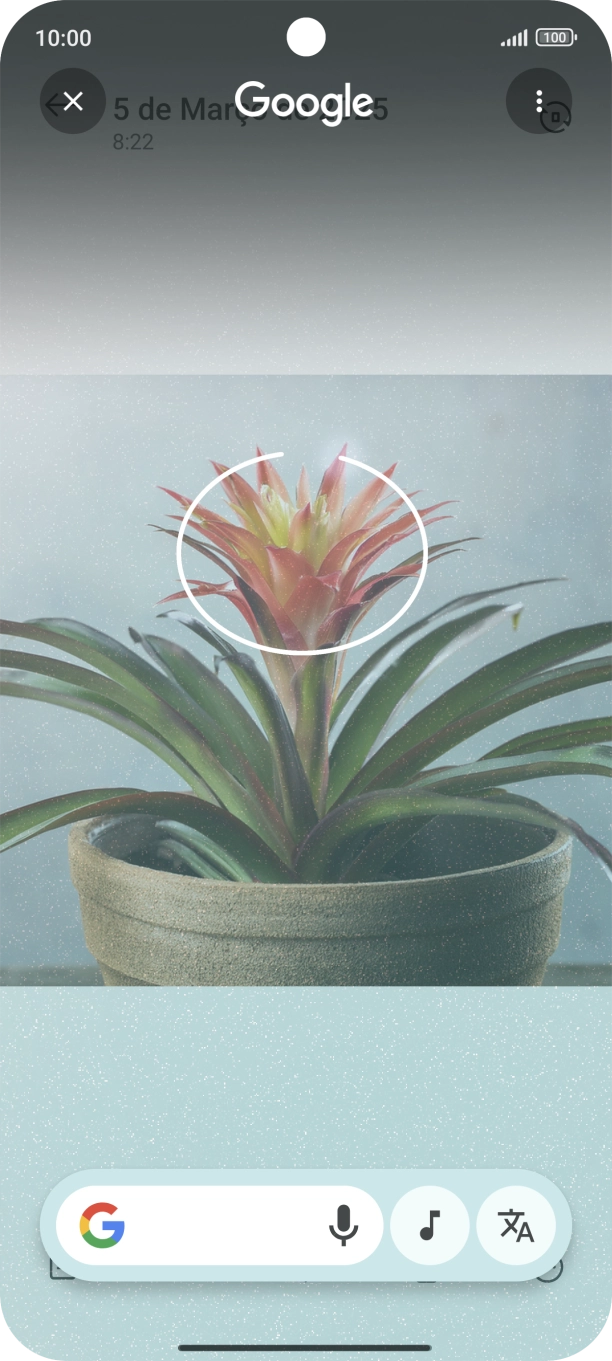 Desenhe um círculo em volta do objeto pretendido na imagem e utilize os resultados da pesquisa.