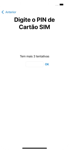 Se o cartão SIM estiver bloqueado, deve introduzir o código PIN e premir OK.