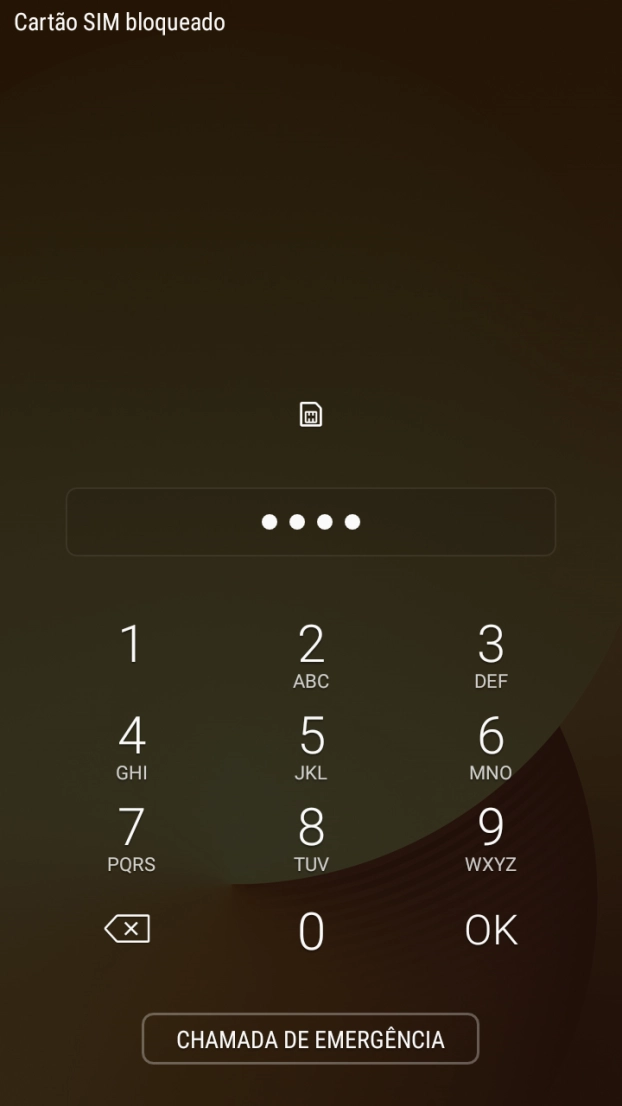Se solicitado, deve introduzir o código PIN e premir OK.