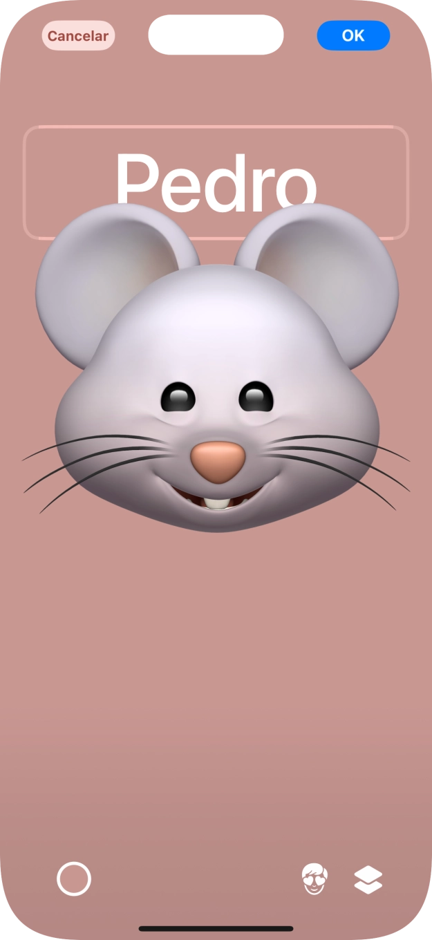 Prima o campo do nome e siga as indicações no ecrã para escolher o tipo de letra e cor para o seu nome no cartaz de contacto.