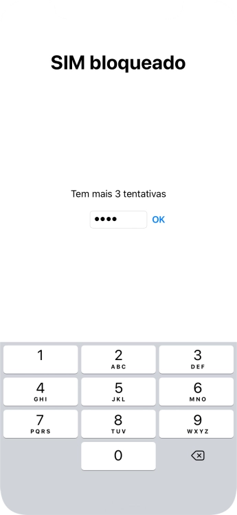 Se o cartão SIM estiver bloqueado, deve introduzir o código PIN e premir OK.