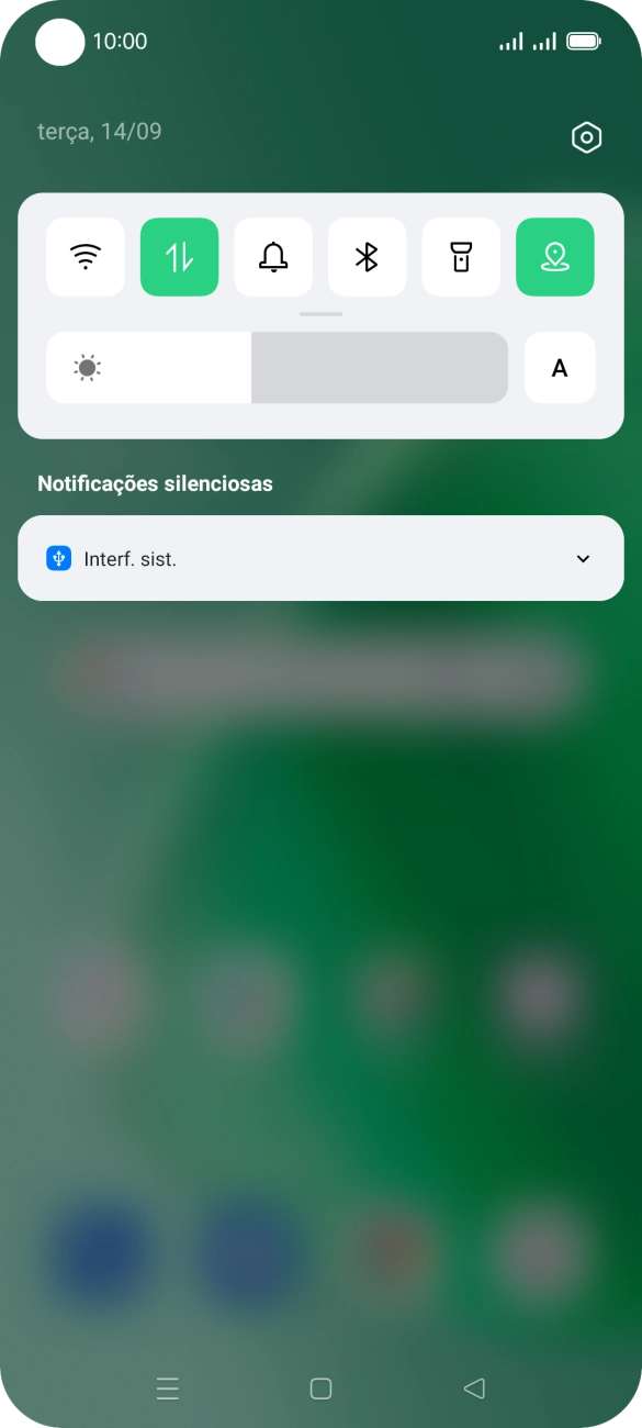 Prima Interf. sist..