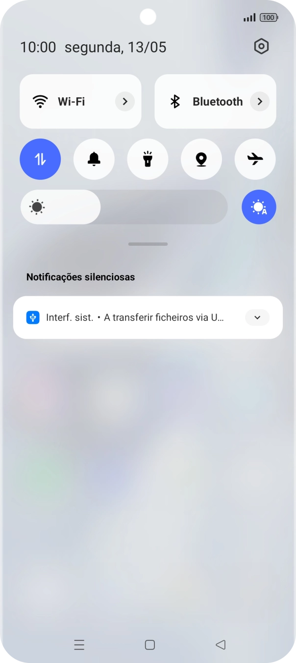 Prima Interf. sist..