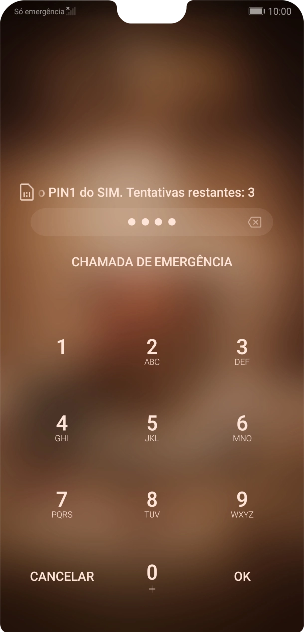 Se solicitado, deve introduzir o código PIN e premir OK.