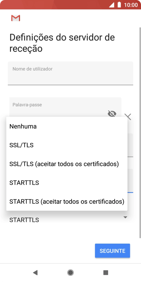 Prima SSL/TLS para ativar a função.