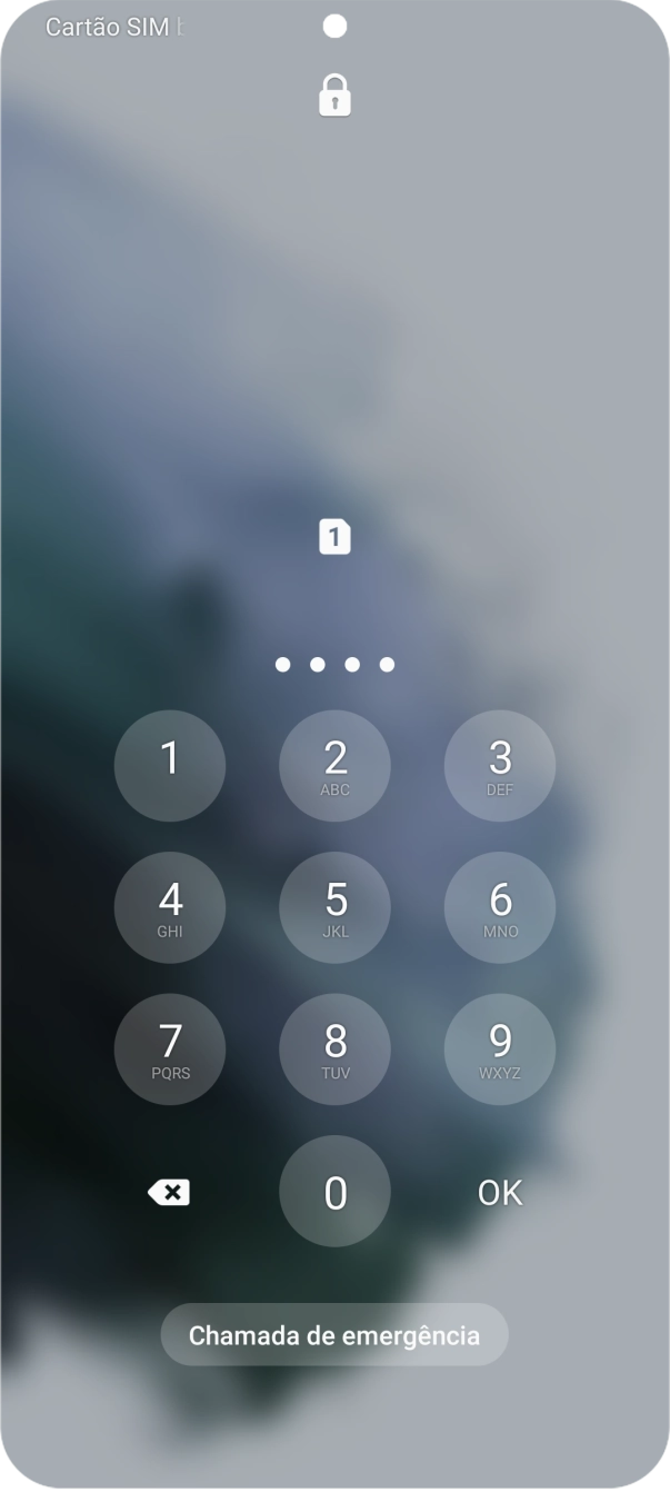 Se solicitado, deve introduzir o código PIN e premir OK.