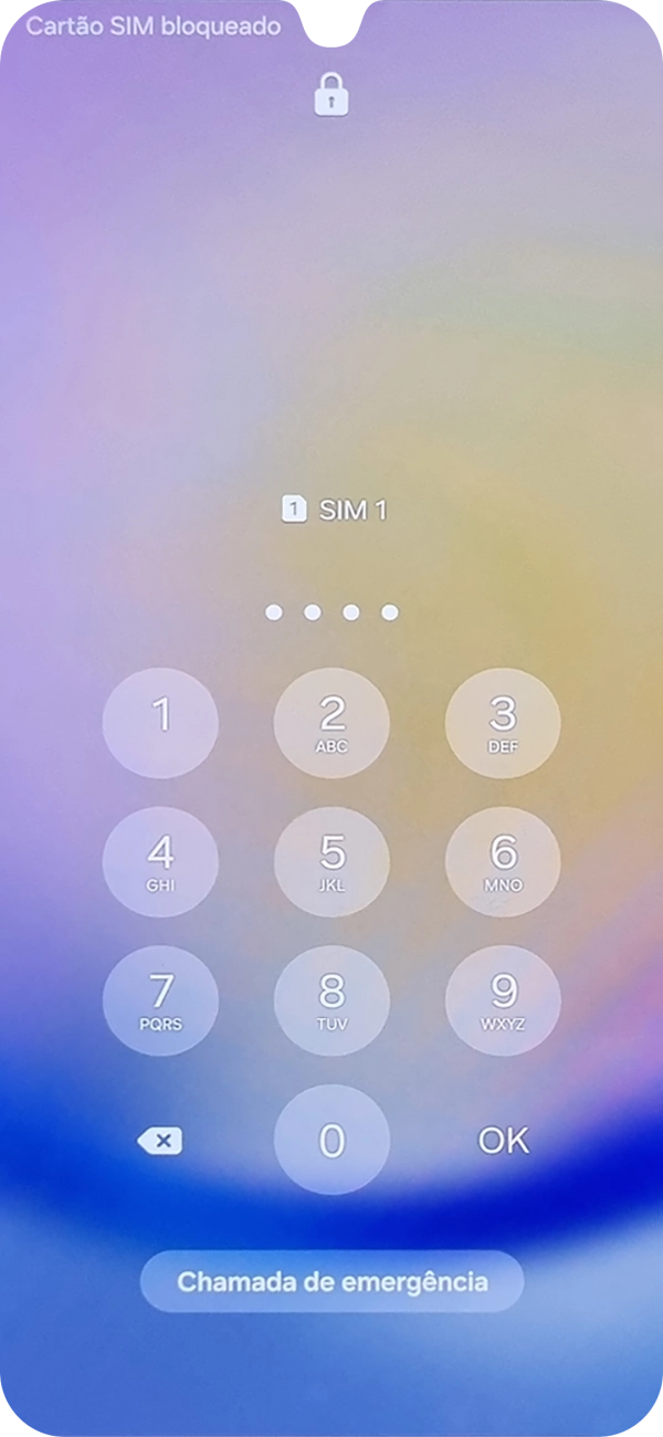 Se o cartão SIM estiver bloqueado, deve introduzir o código PIN e premir OK.