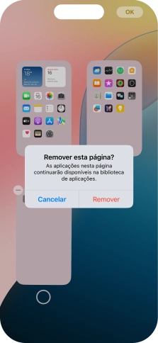 Prima Remover.