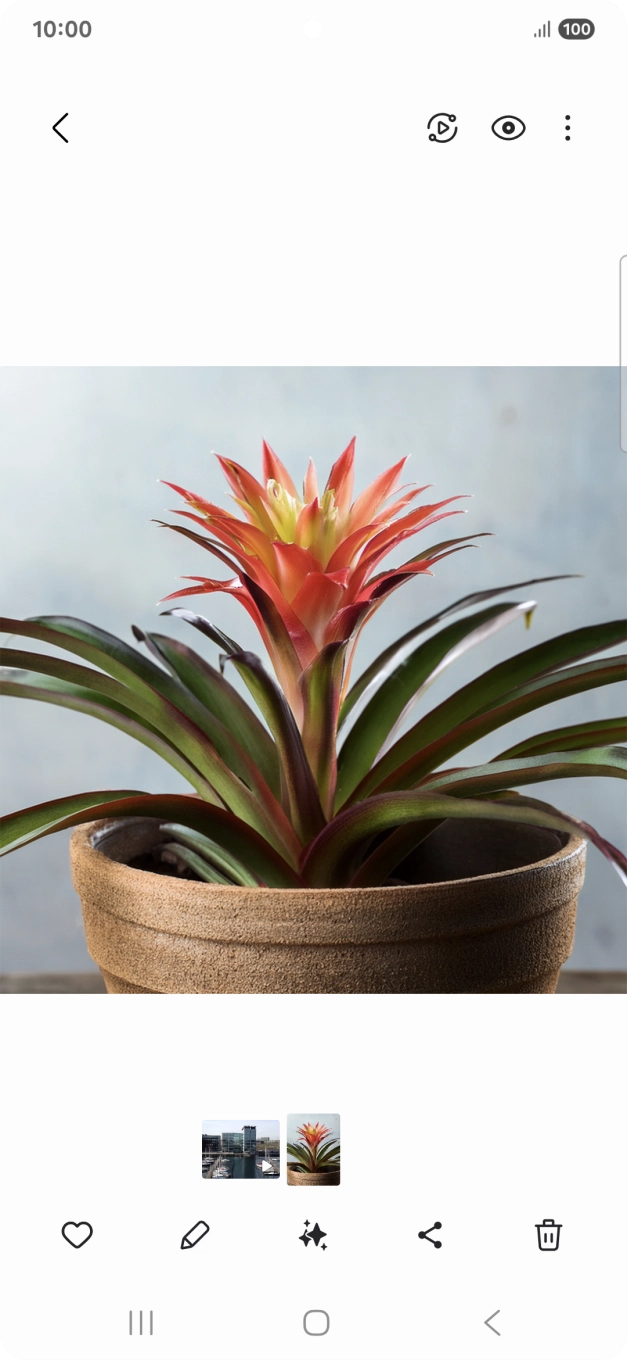 Dirija-se à imagem pretendida.