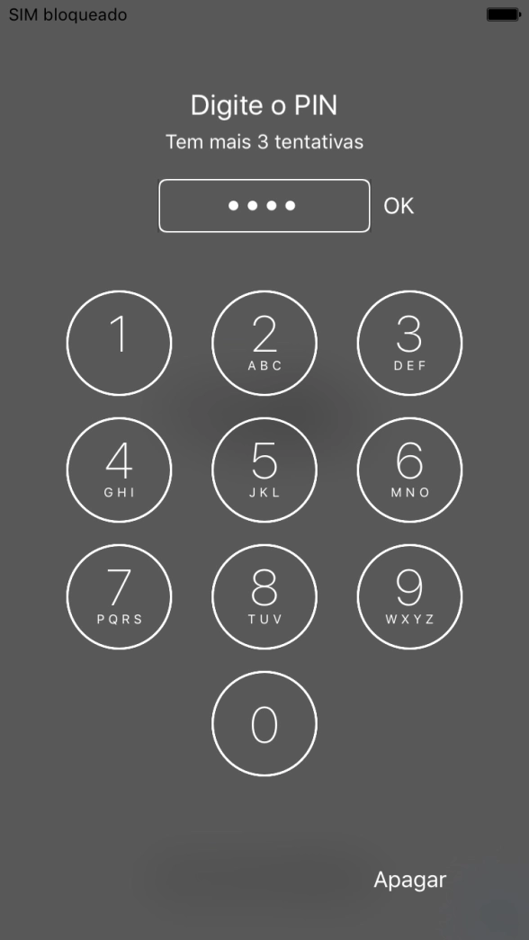 Introduza o seu código PIN e prima OK.