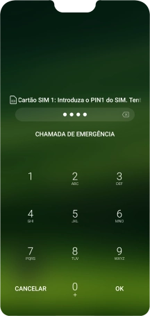 Se solicitado, deve introduzir o código PIN e premir OK.