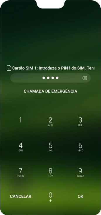 Se solicitado, deve introduzir o código PIN e premir OK.