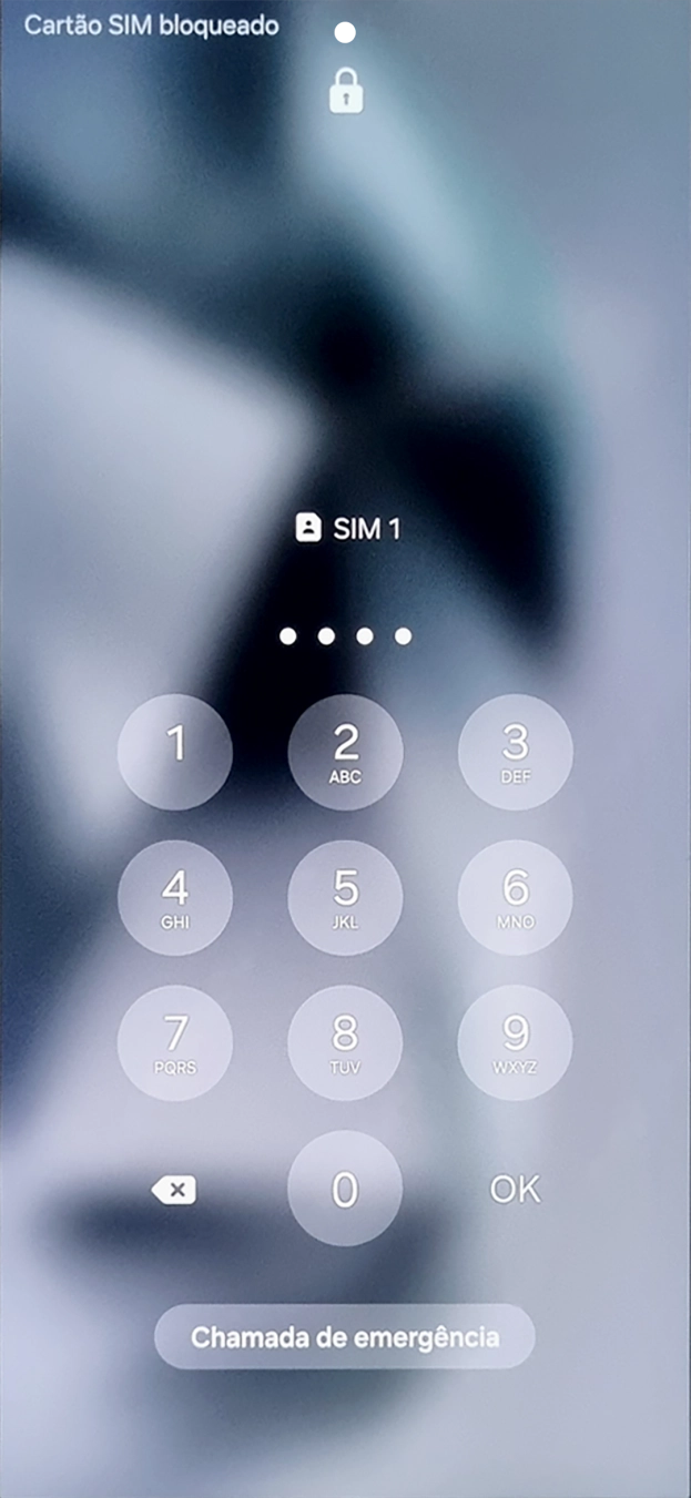 Se solicitado, deve introduzir o código PIN e premir OK.