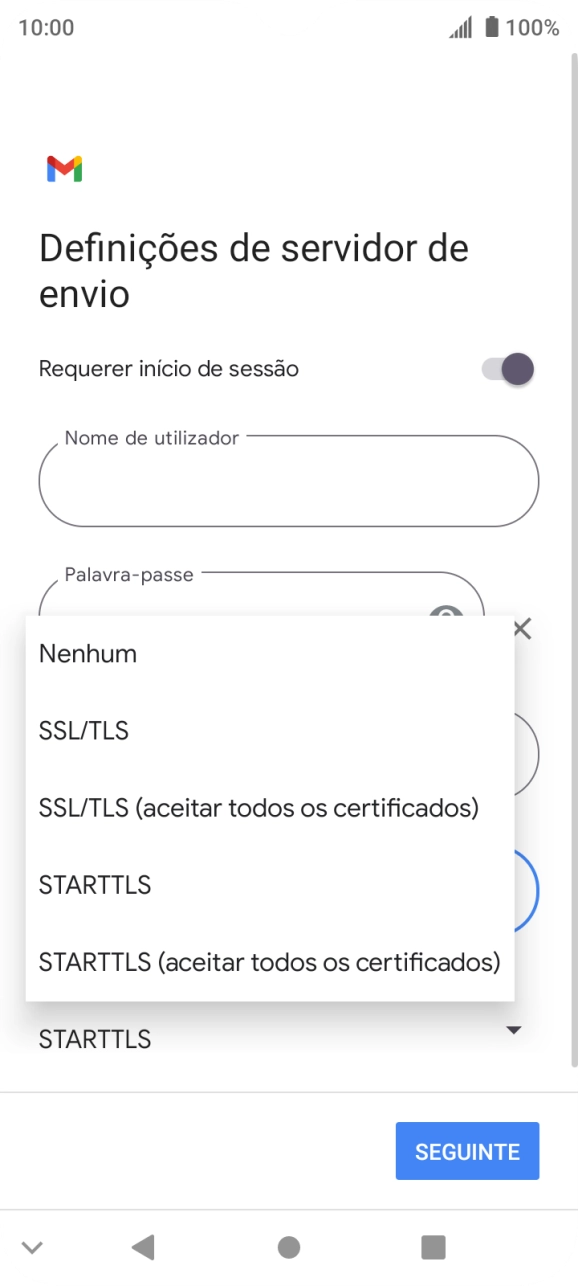 Prima SSL/TLS para ativar a função.