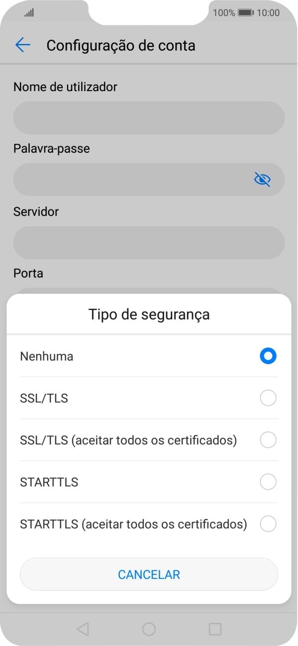 Prima SSL/TLS para ativar a função.