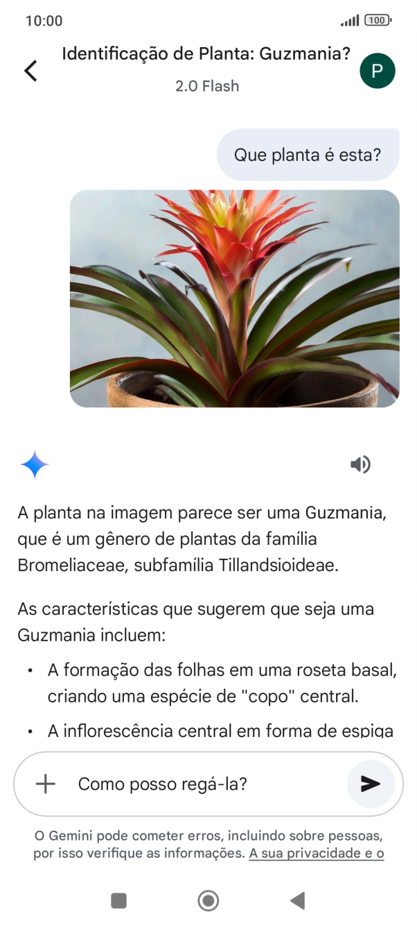 Siga as indicações no ecrã para escrever ou ditar perguntas, para continuar a conversa.