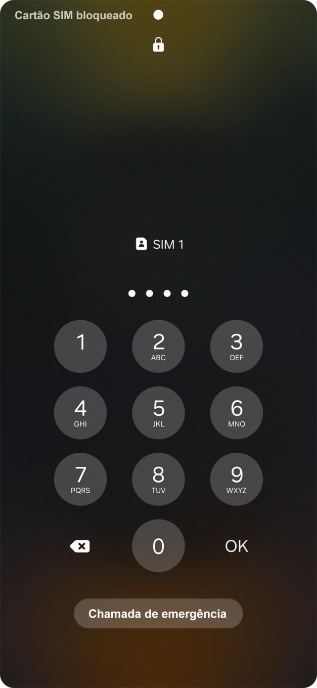 Se solicitado, deve introduzir o código PIN e premir OK.