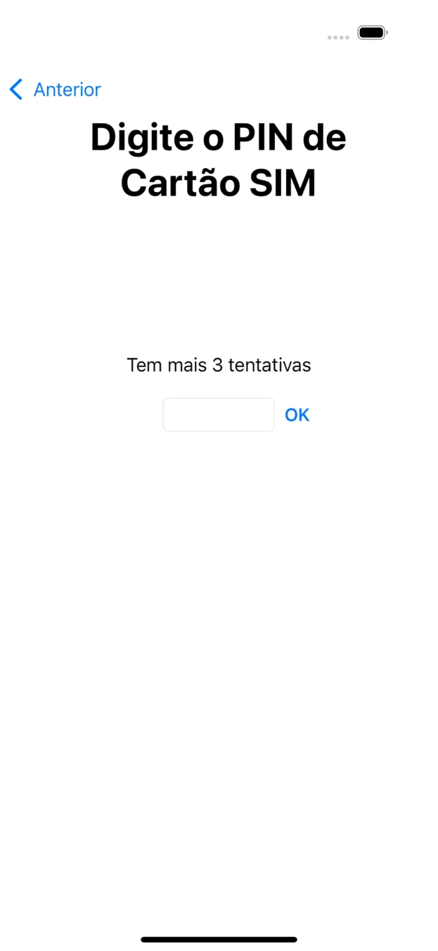 Se o cartão SIM estiver bloqueado, deve introduzir o código PIN e premir OK.