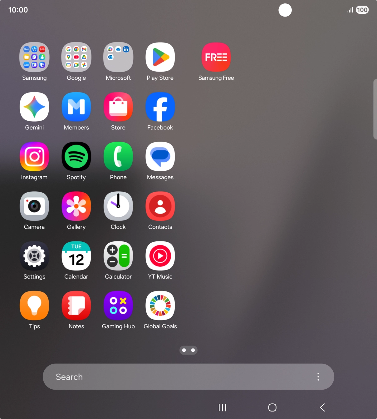 Press Gemini. If prompted, follow the instructions on the screen to turn on the function.