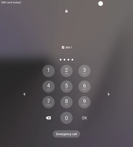 If your SIM is locked, key in your PIN and press OK.