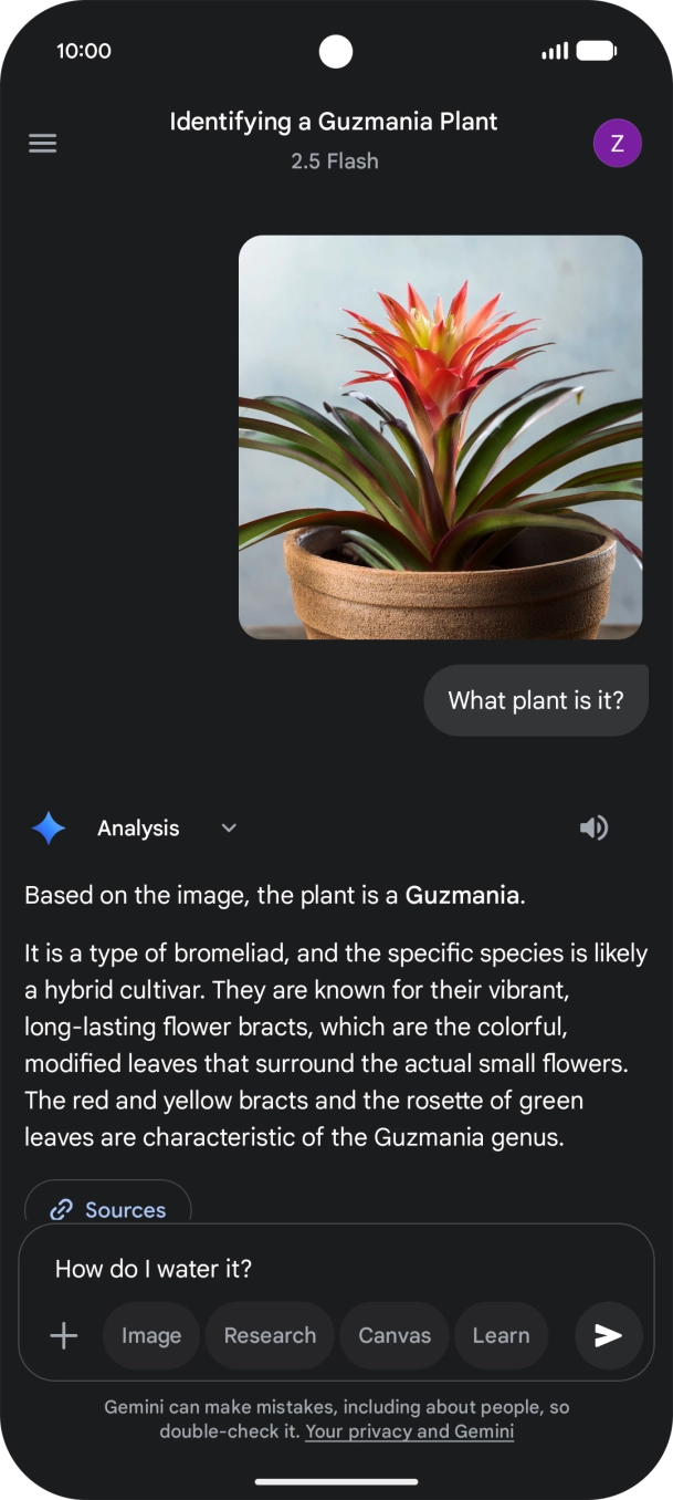Follow the instructions on the screen to type or speak more questions to continue the conversation.