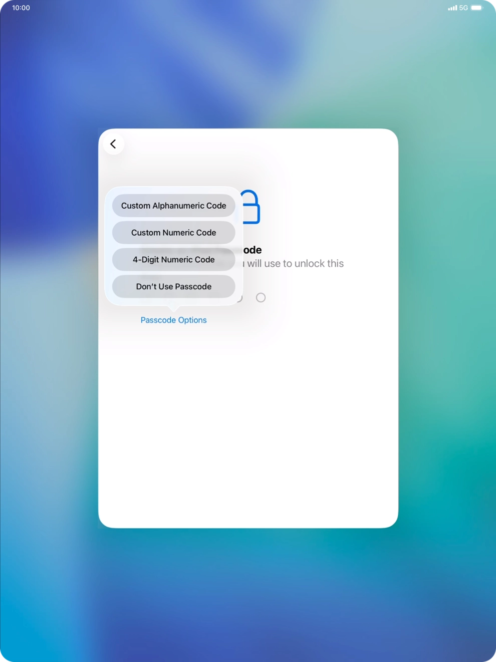 Follow the instructions on the screen to turn on the lock code or press Don't Use Passcode.