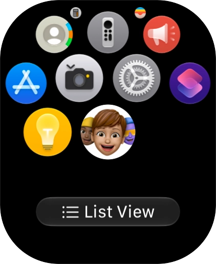 Press the Digital Crown to return to the home screen.
