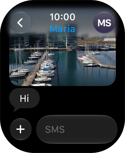 Press SMS.