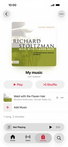 Go to the required category or playlist and press the required audio file.